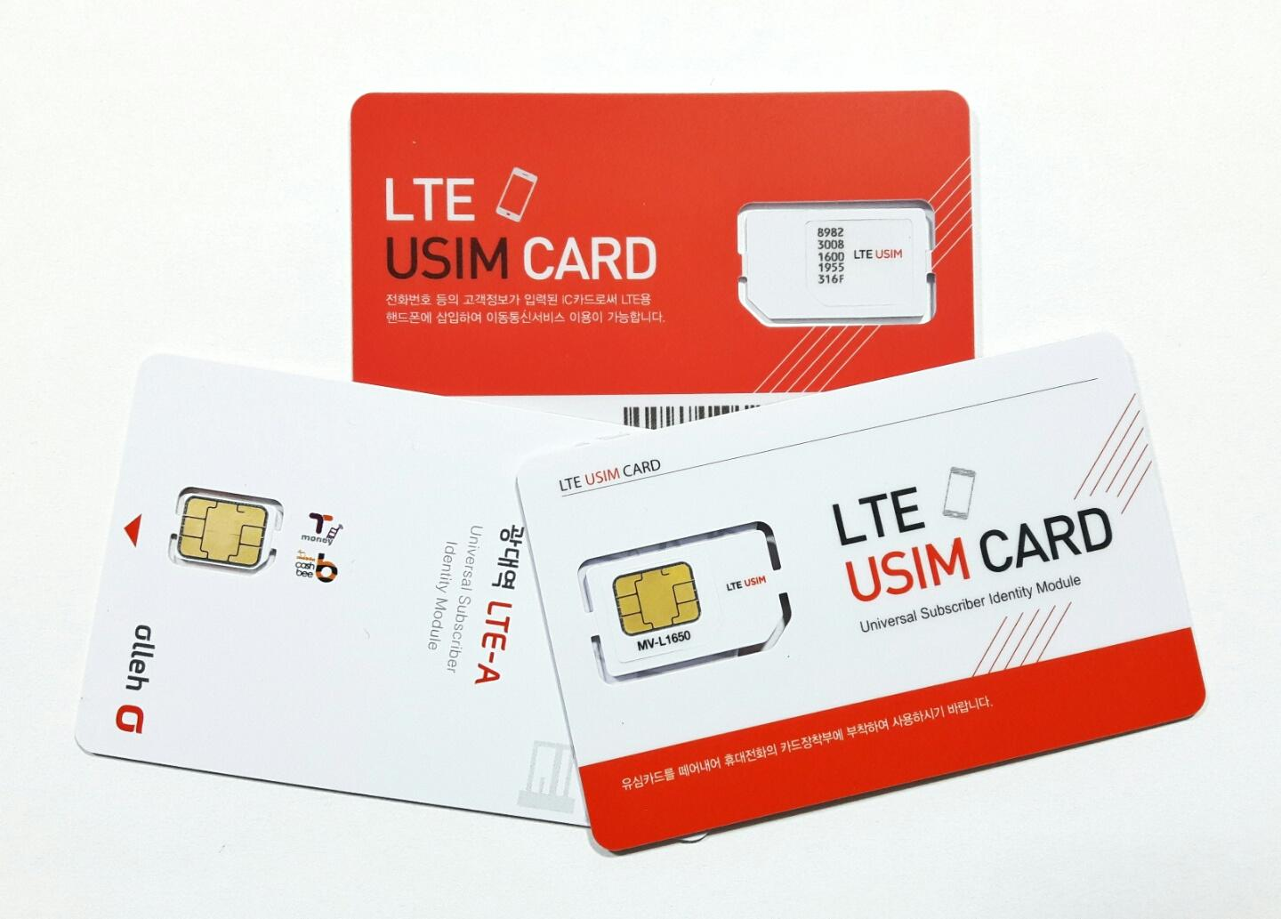 Malaysian student receiving SIM card upon arrival in Korea